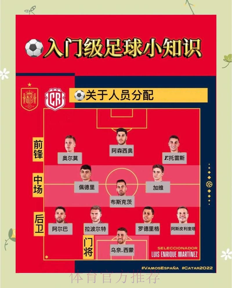 世界杯投注合规全站深度解读 世界杯投注合规全站深度解读